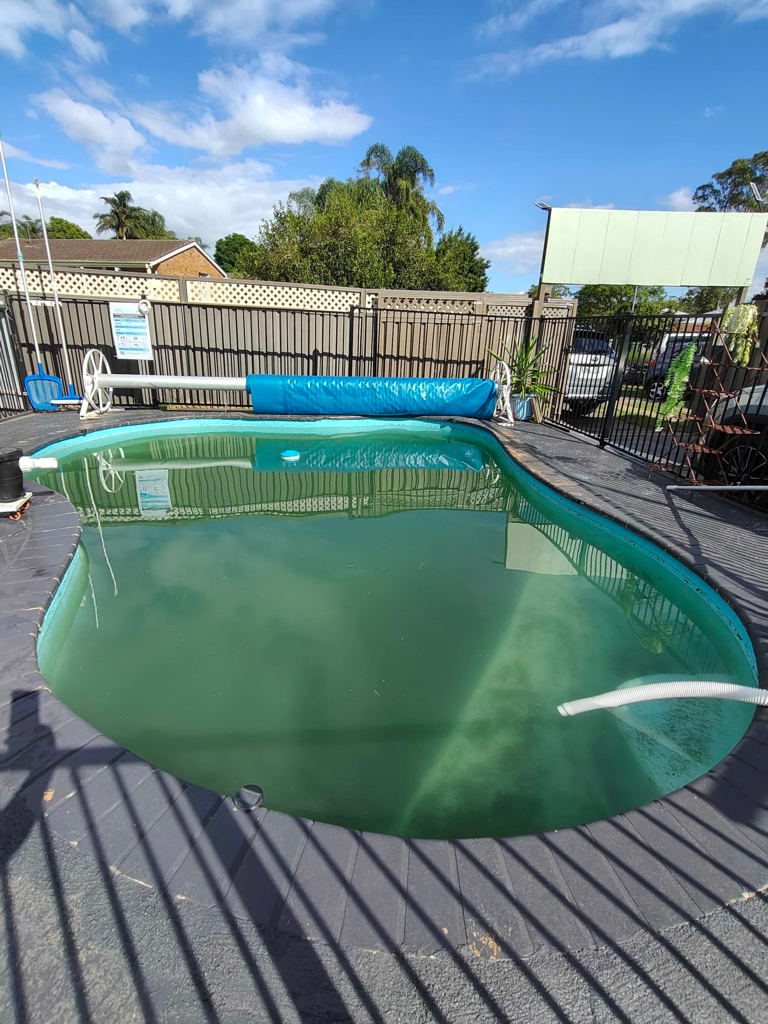 Green pool before treatment