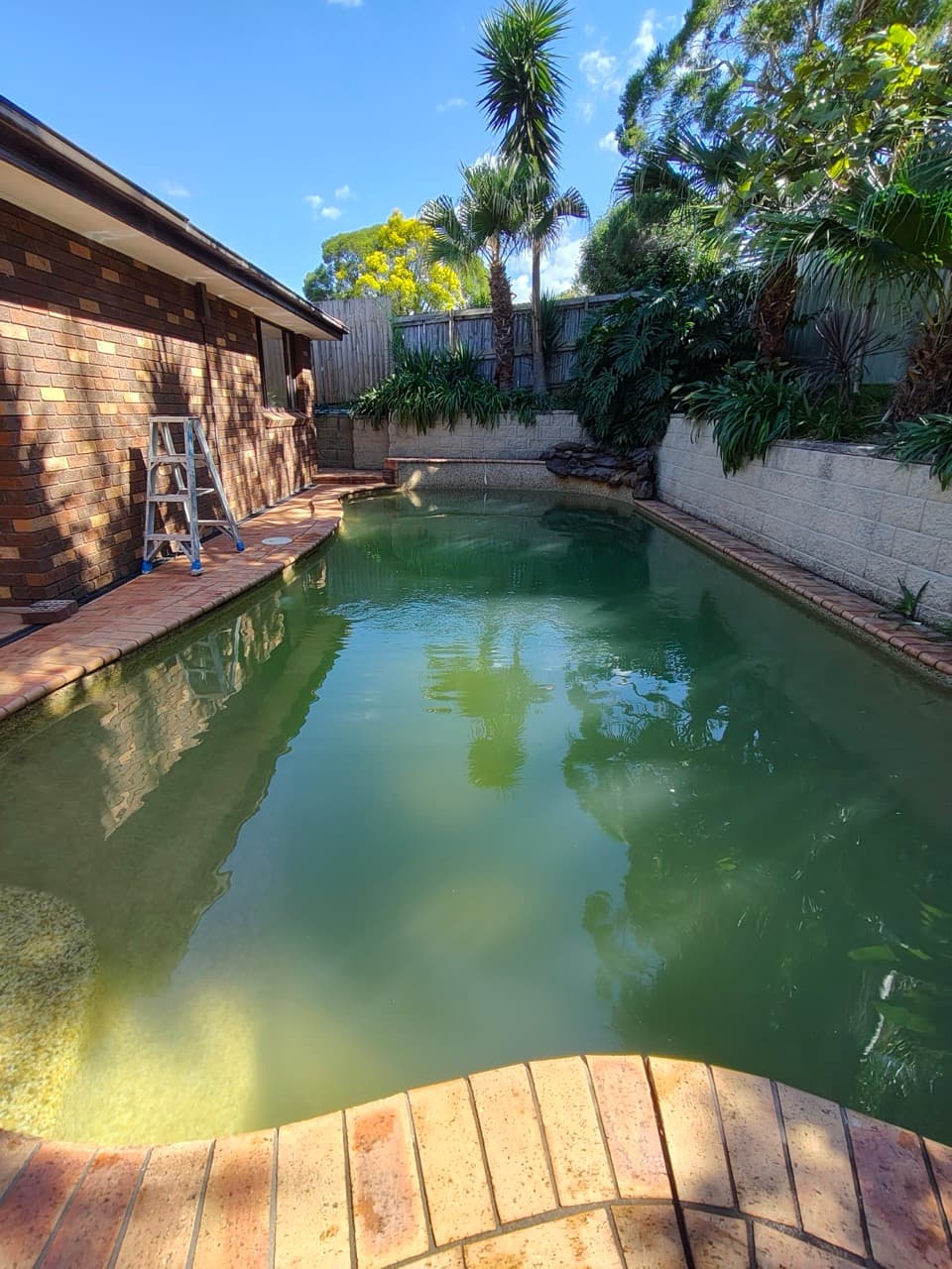 Green Pool Recovery in Sydney 1 in Baulkham Hills