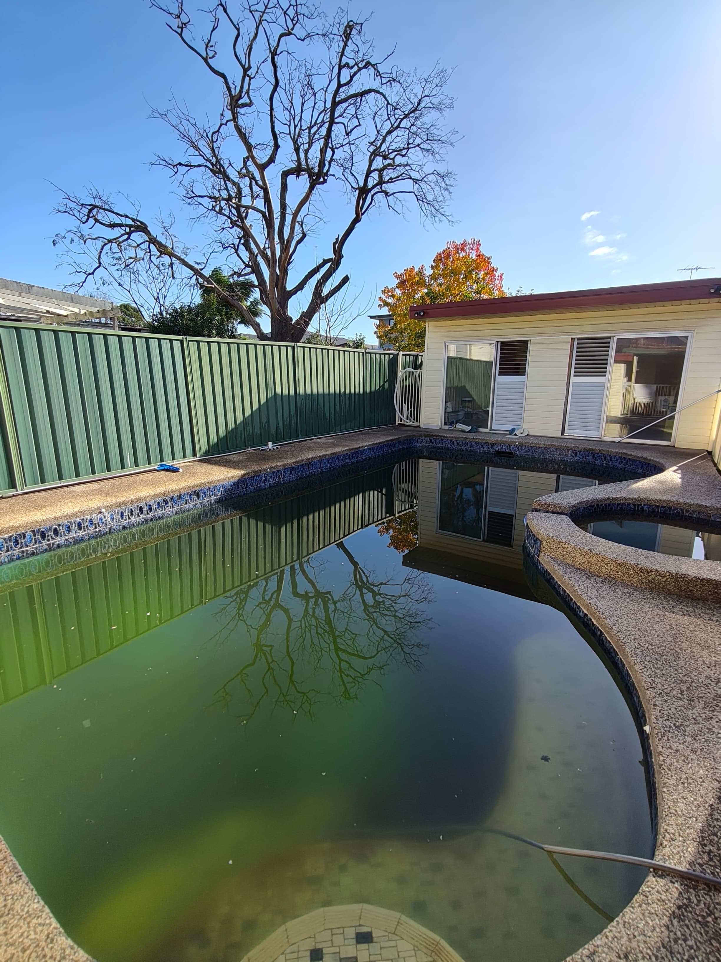 Green Pool Recovery in Sydney 1 in Wentworthville