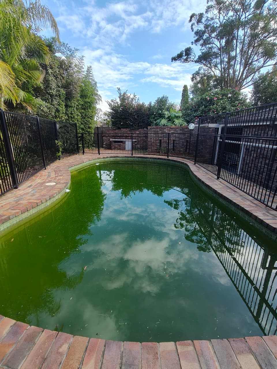 Green Pool Recovery in Sydney 1 in Castle Hills