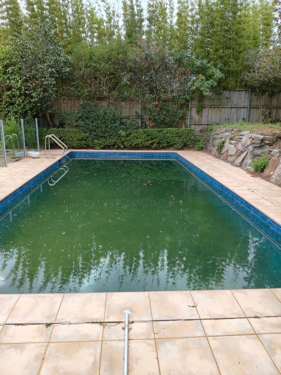 Green Pool Recovery in Bellevue Hill 1