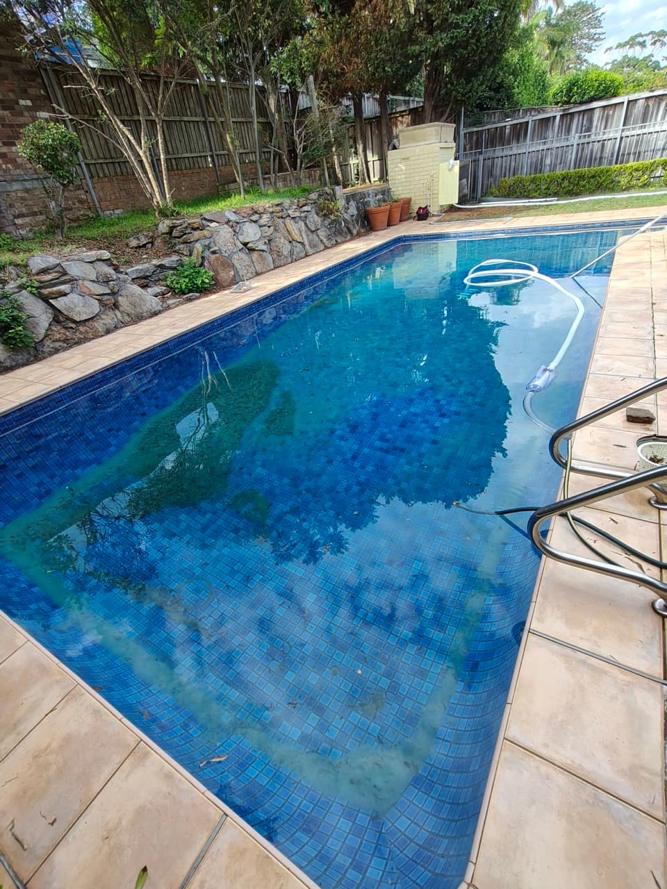 Green Pool Recovery in Bellevue Hill 2