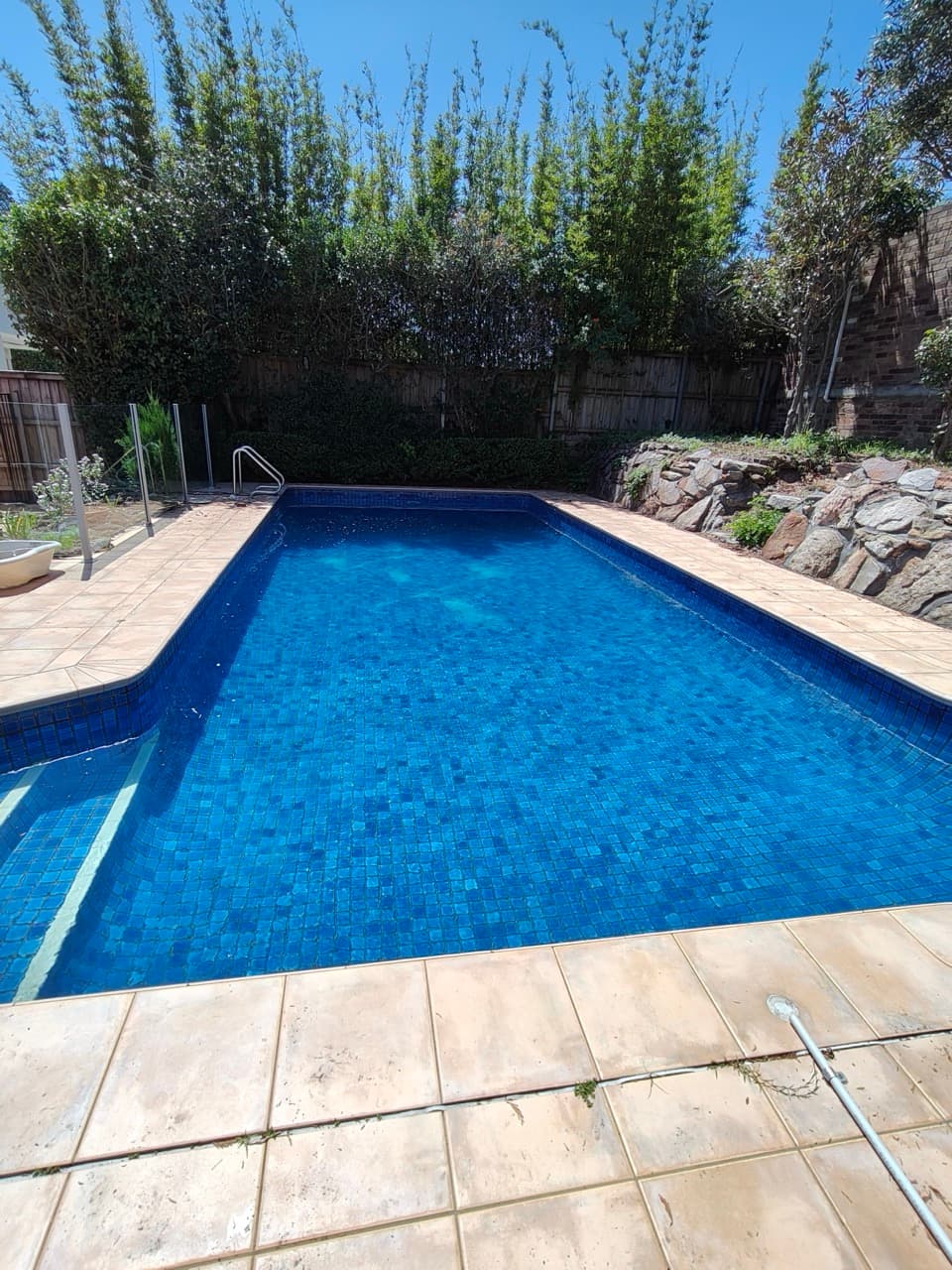 Green Pool Recovery in Bellevue Hill 3